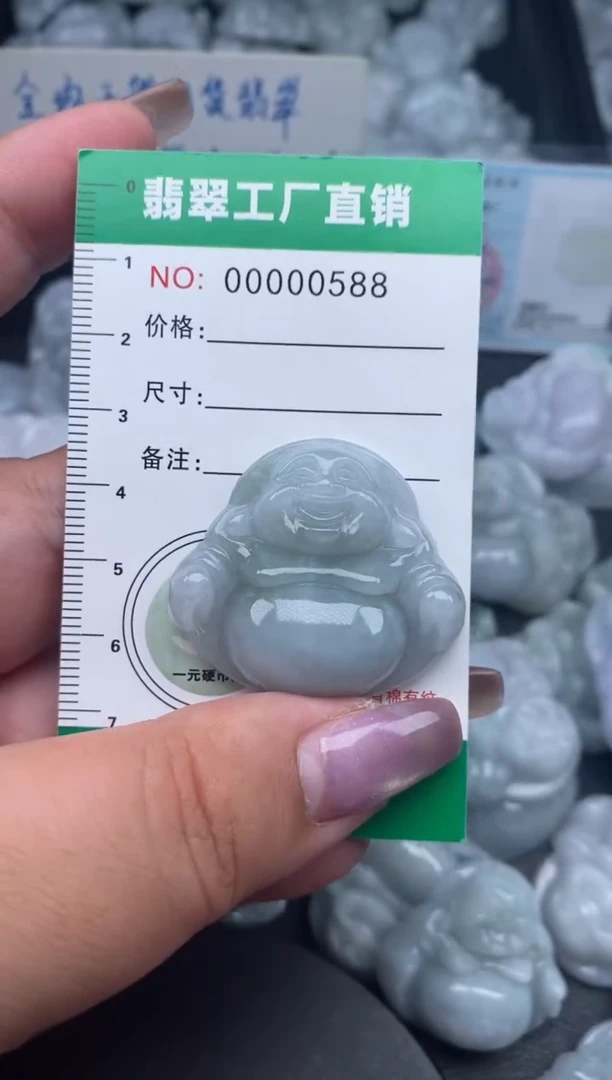 翡翠未镶嵌颈饰缅甸天然A货翡翠0588