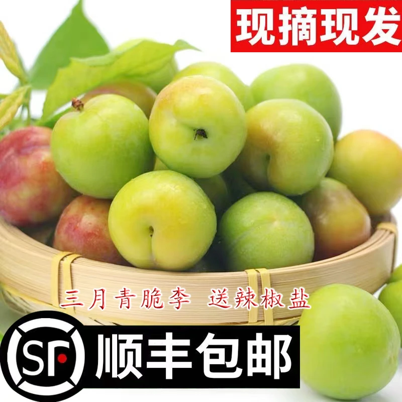【顺丰包邮】酸酸脆脆广东三月李无渣无涩现摘现发青李子孕妇水果