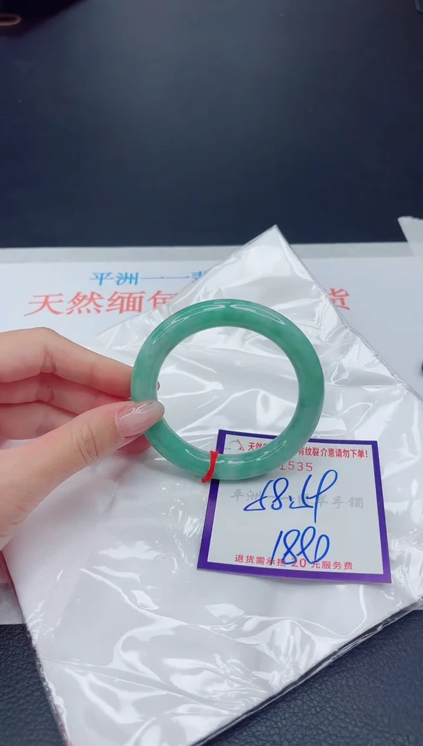 未镶嵌手镯翡翠1