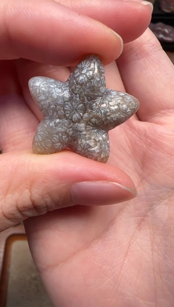 颈饰未镶嵌硅化珊瑚（珊瑚玉）673