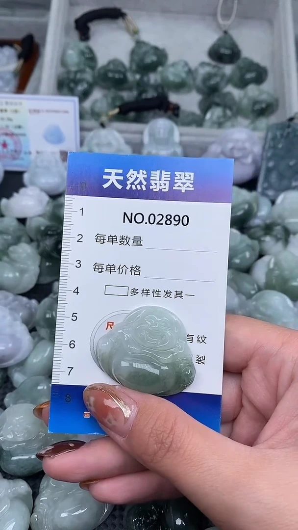 颈饰未镶嵌翡翠天然A货翡翠2890