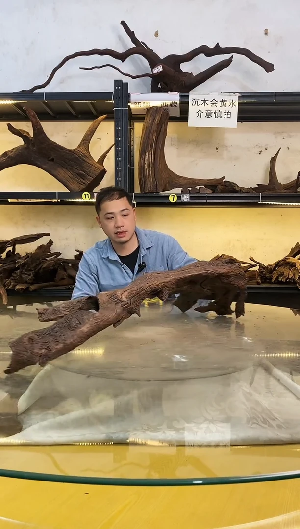 【闪购商品】柚木木艺006鱼缸造景沉木