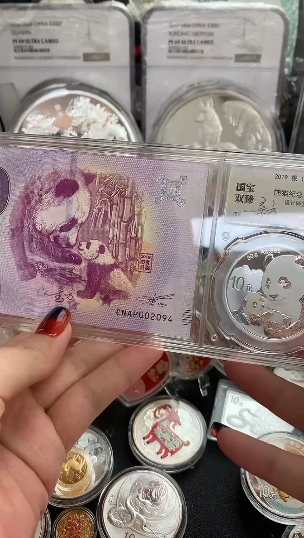 纯银2019年国宝双臻