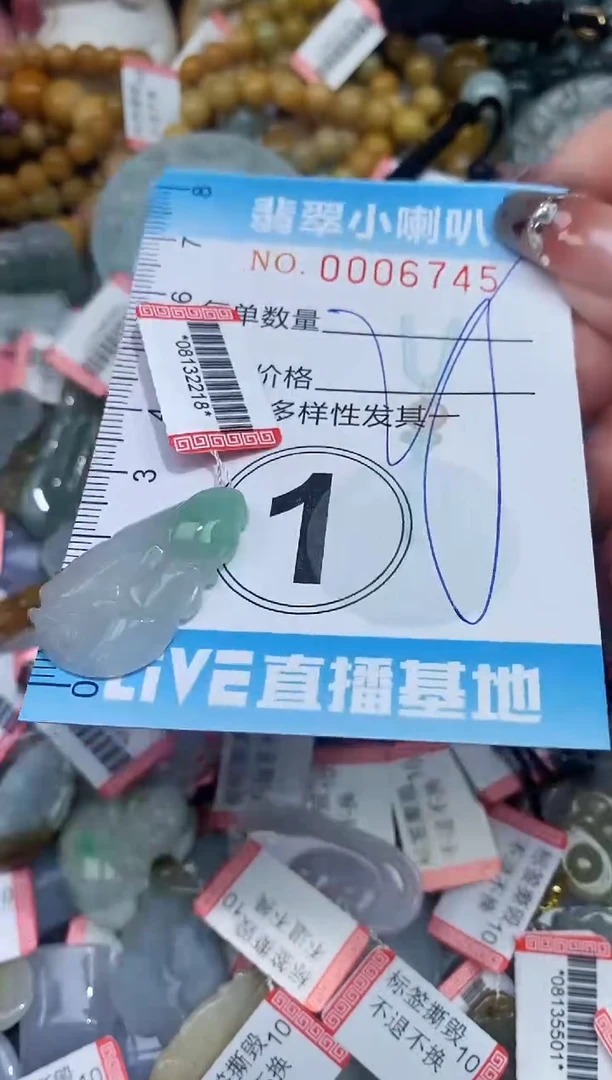 【闪购商品】翡翠颈饰未镶嵌闪购0006745