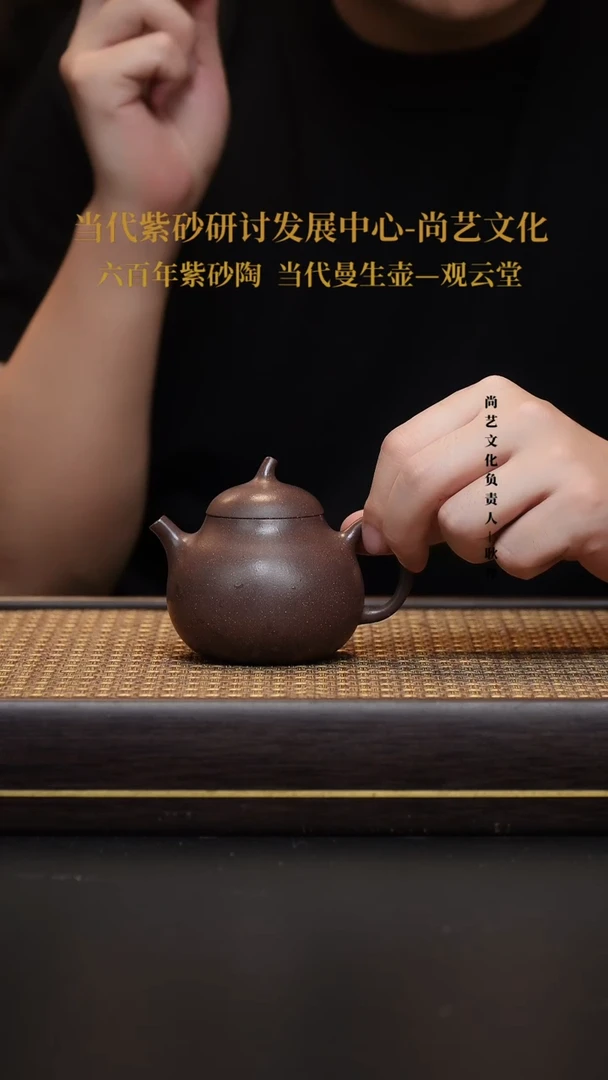 茶壶紫砂宜兴紫砂壶茄瓜