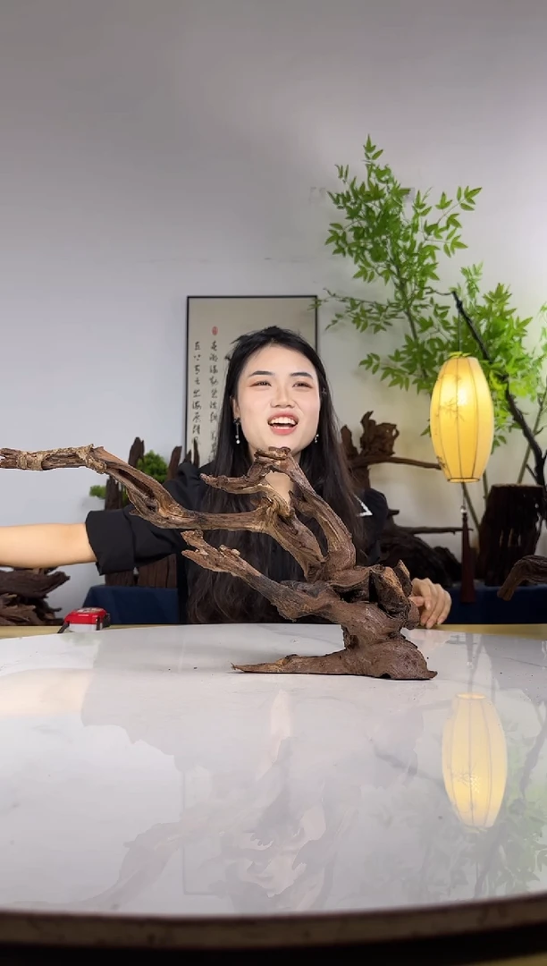 哈*拍这个定向编号45