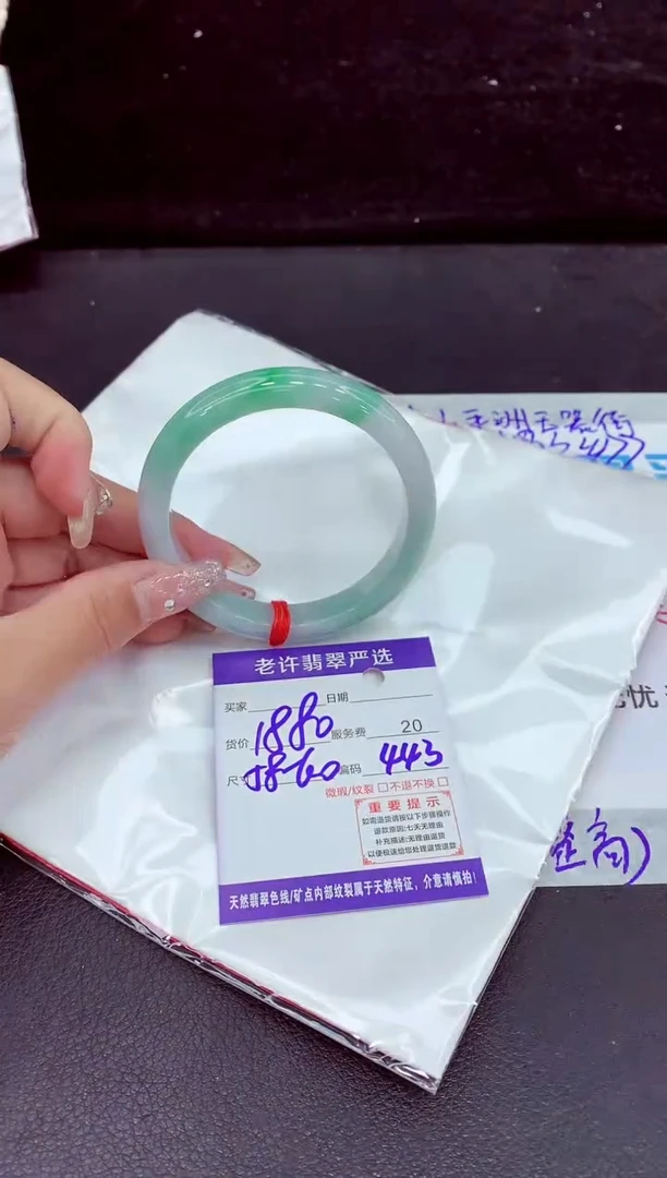 未镶嵌手镯翡翠1