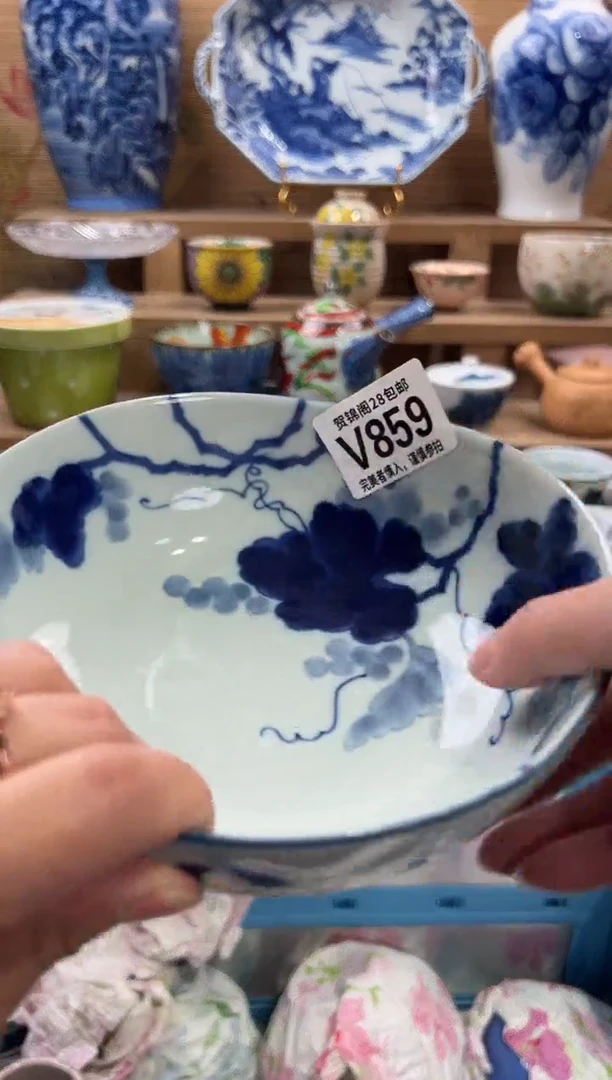 瓷片雯*       V859