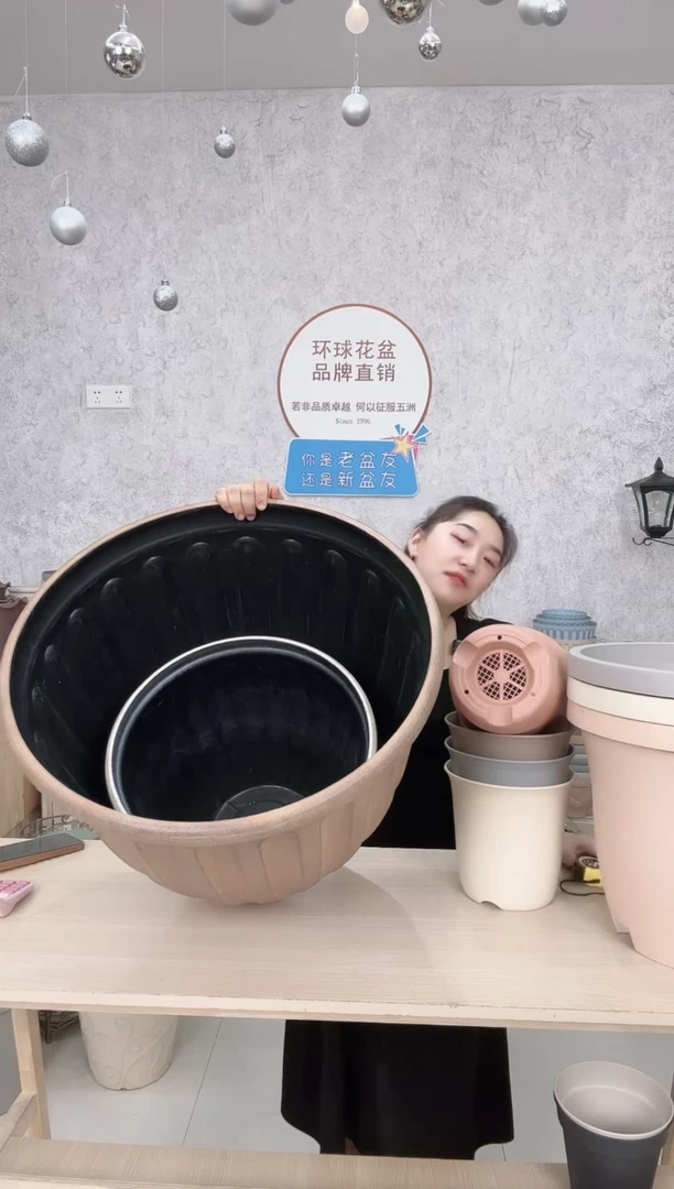 小*22寸瓦尔纳铁锈黄和14.5寸画眉白各一只