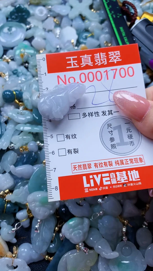 翡翠未镶嵌吊坠(不含链)1700