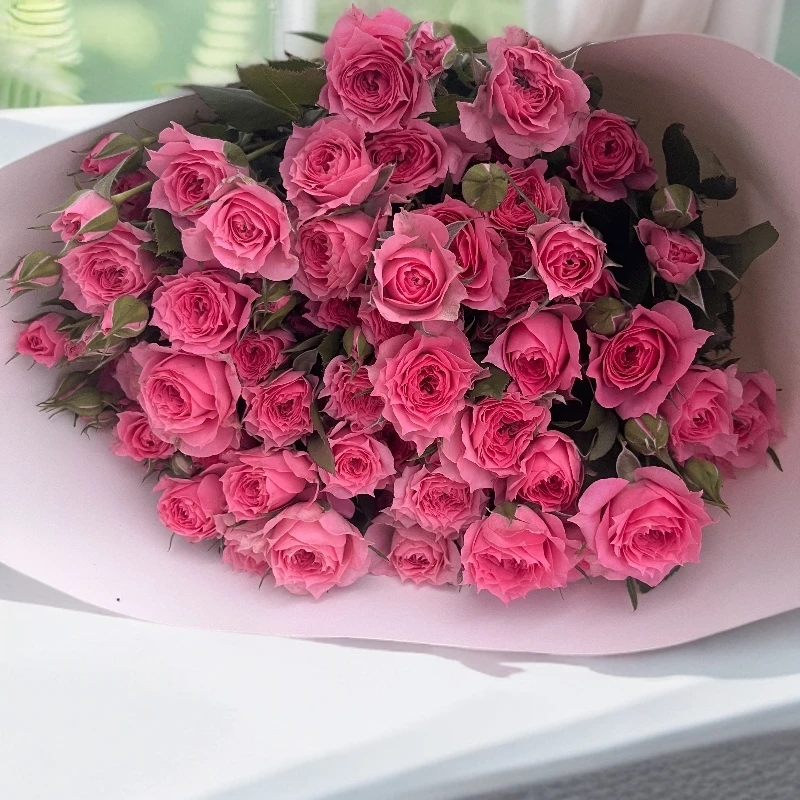 多头玫瑰苏菲宝贝鲜花云南直发水养1单中通包邮亿花蔷薇泡泡