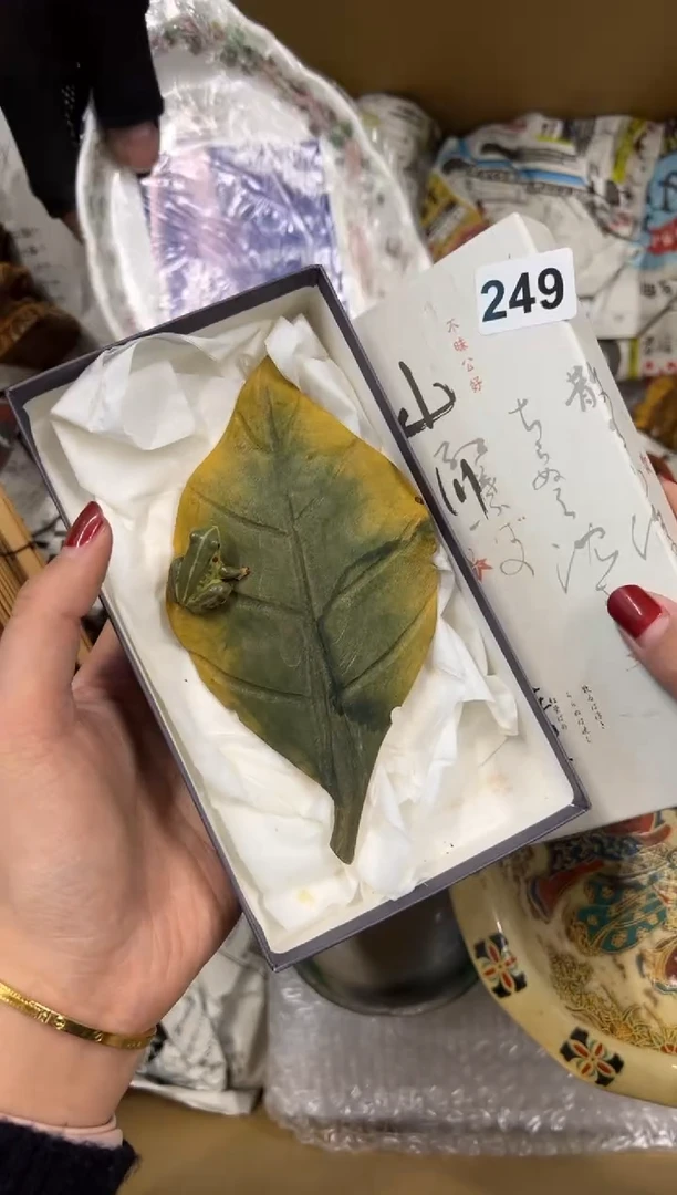 【闪购商品】瓷片249中古商品谨慎参拍