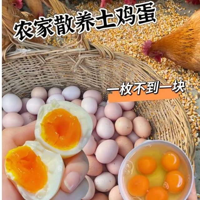 五黑安吉竹林散养新鲜放养土鸡蛋五谷杂粮喂养营养土鸡蛋适合孕妇