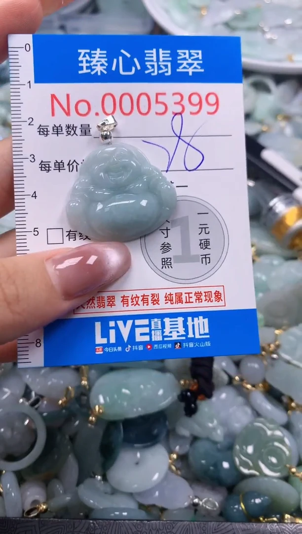 翡翠未镶嵌颈饰含绳0005399