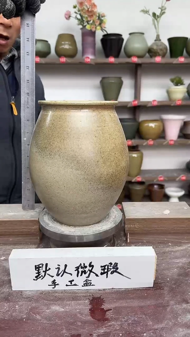 【闪购商品】陶瓷21-高24口12瑕