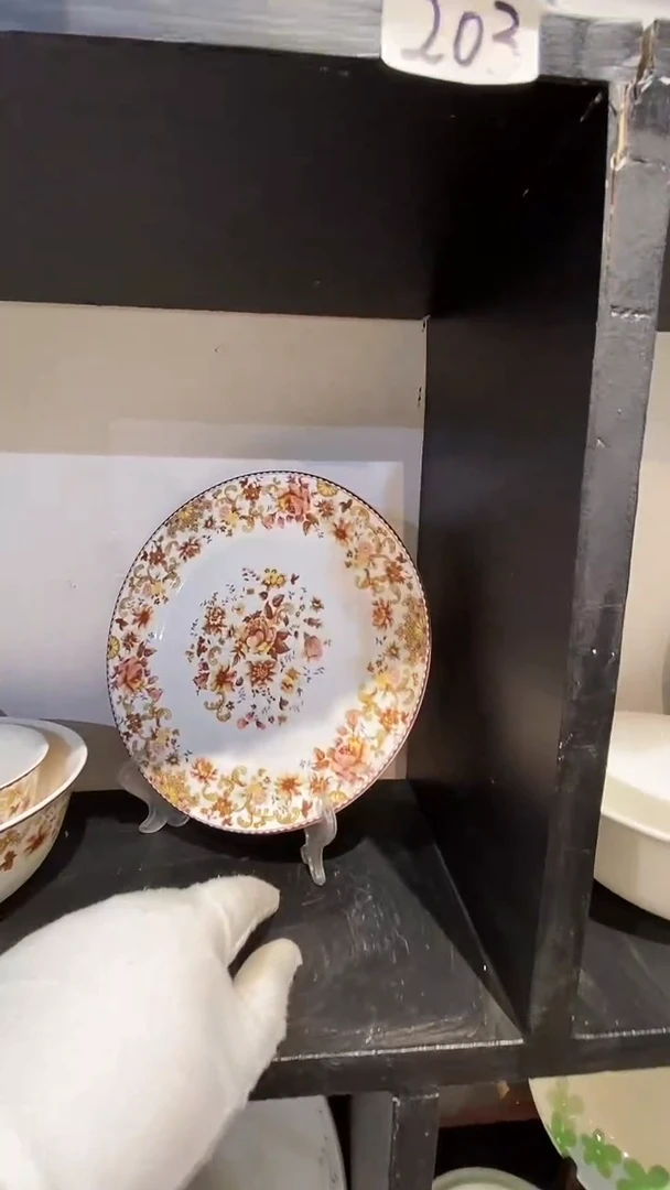 碗闪购商品  库存产品默认微瑕介意慎拍