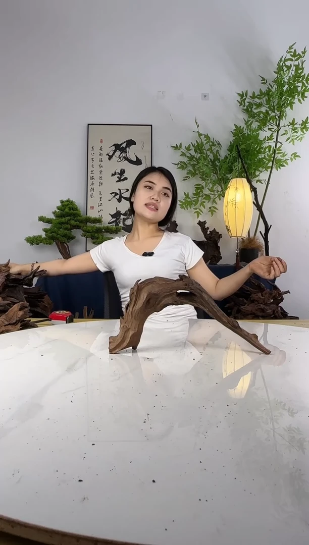 G****8---定向编号84