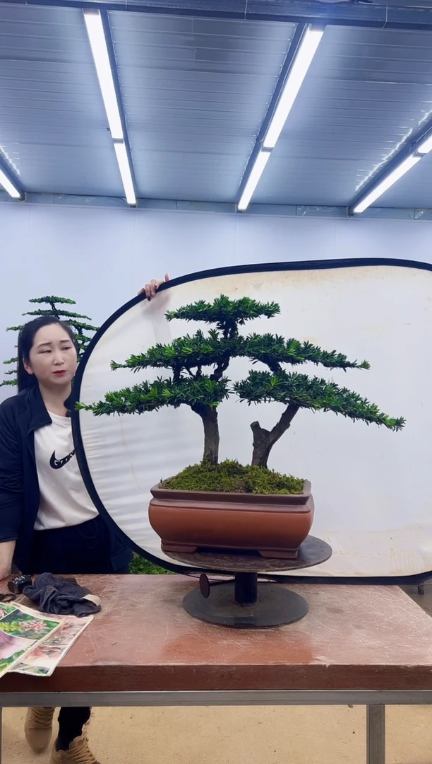 无花朵一物一拍，所见即所得