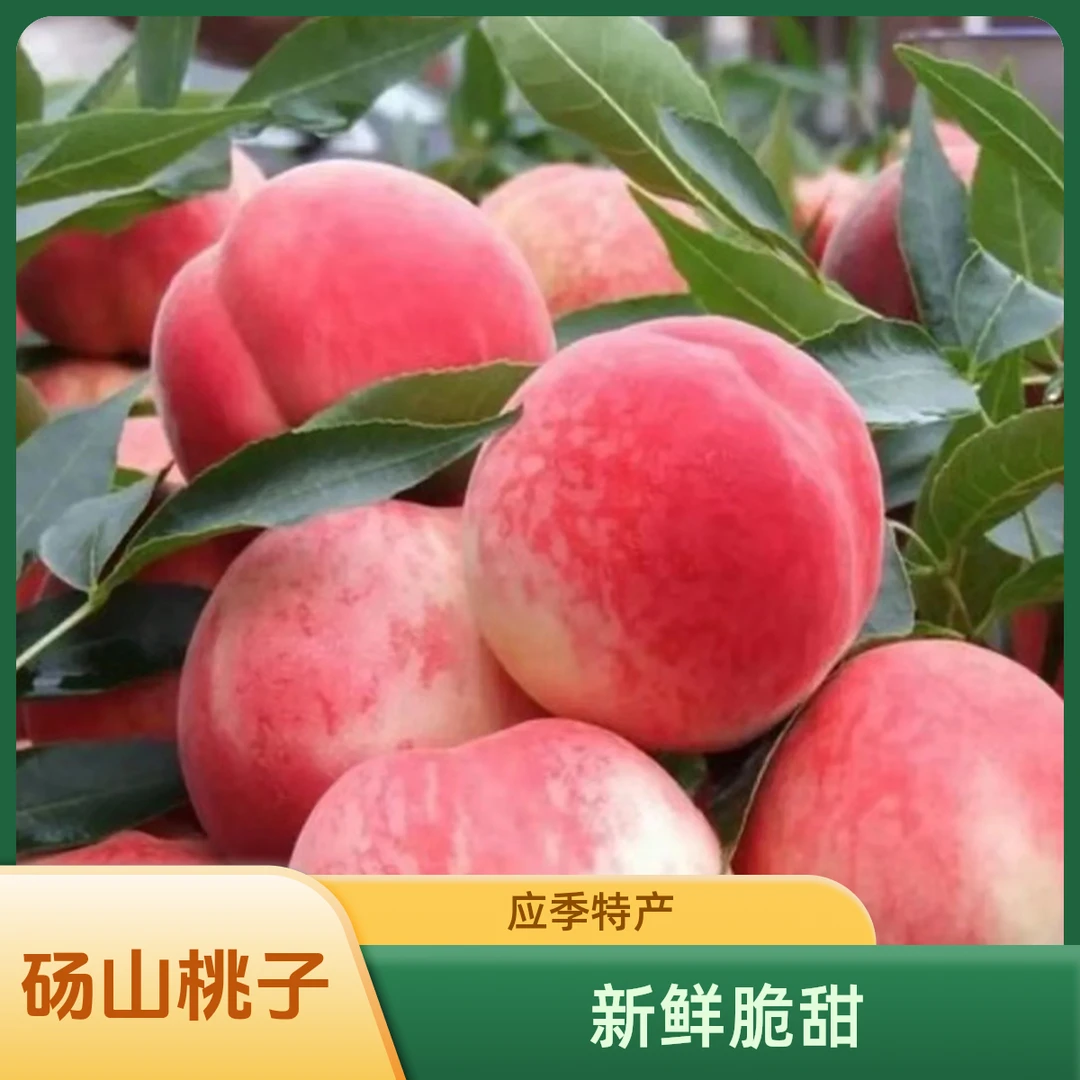 【现摘现发】砀山水蜜桃毛桃新鲜应季水果软硬双吃脆甜多汁