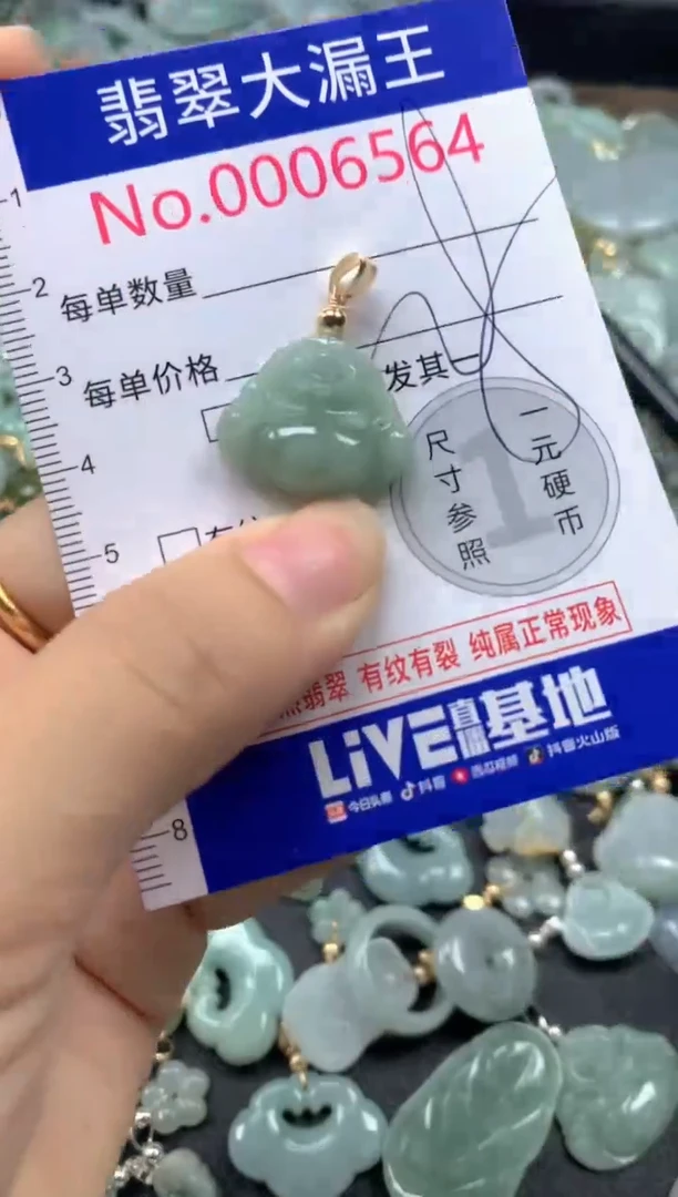 翡翠未镶嵌吊坠(不含链)6564