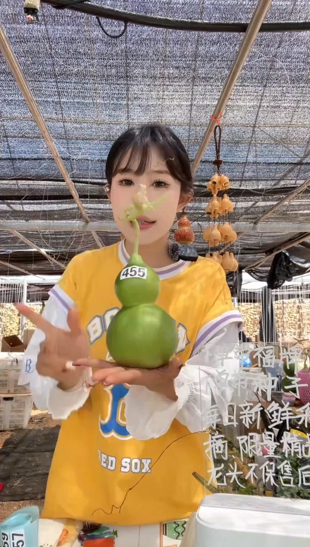 455天然葫芦摆件 一物一拍龙头不保售后