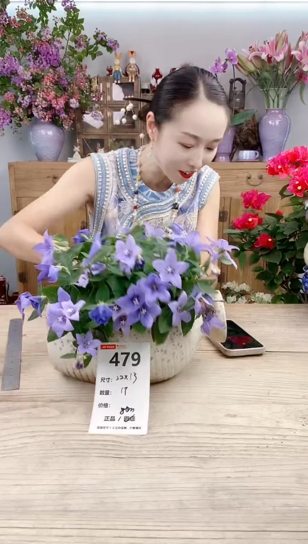 小玩子花盆直播号479