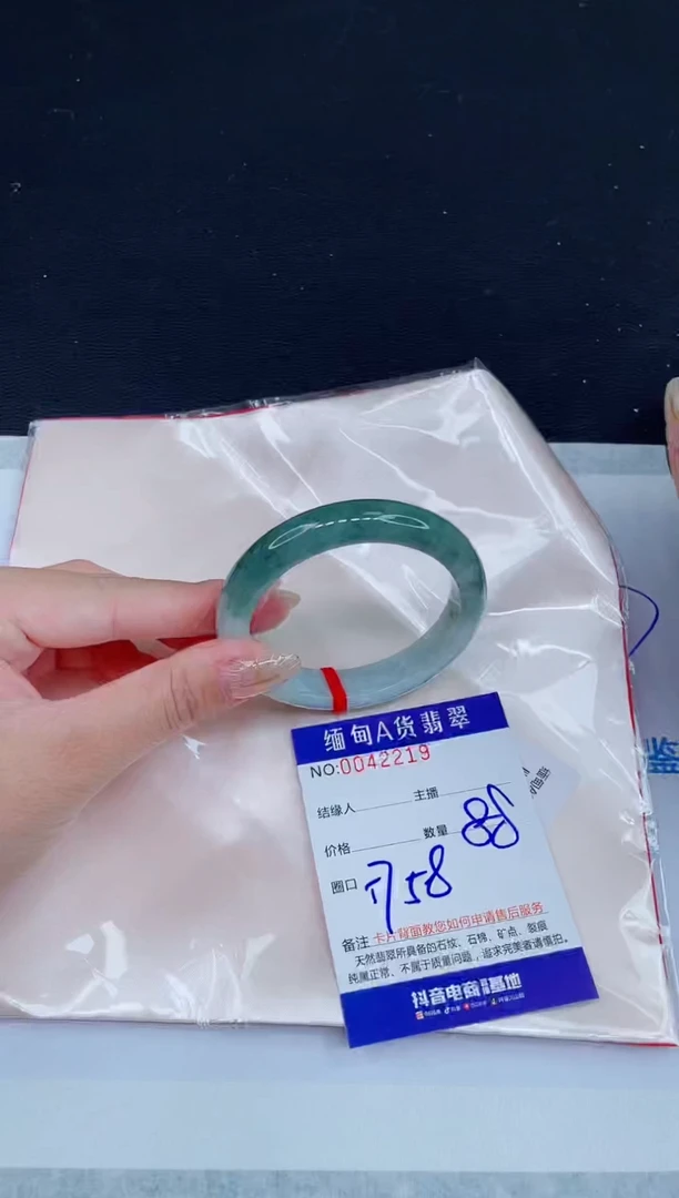 未镶嵌手镯翡翠0215616687