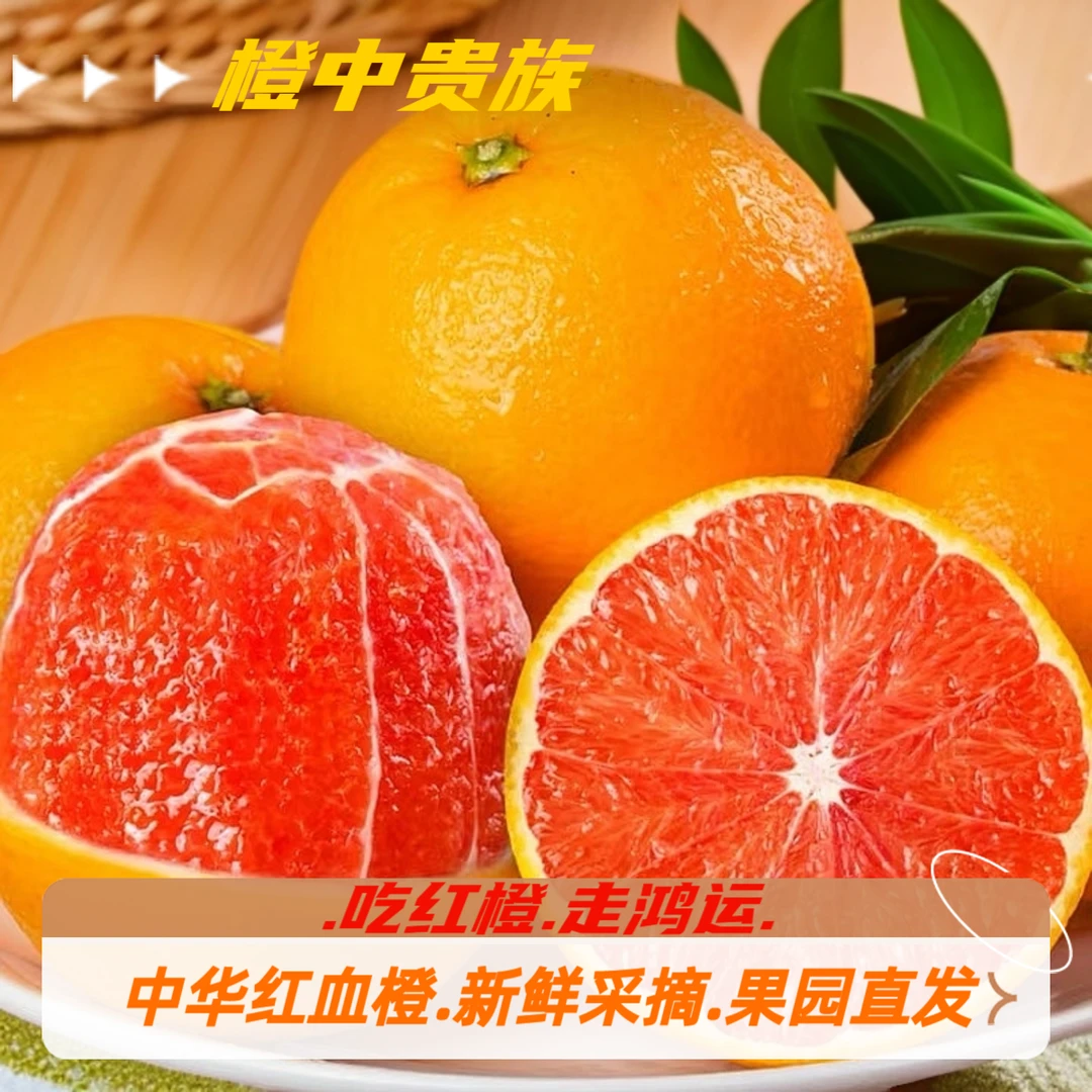 湖北中华红血橙新鲜应季水果橙子现摘现发产地直发整箱5斤包邮