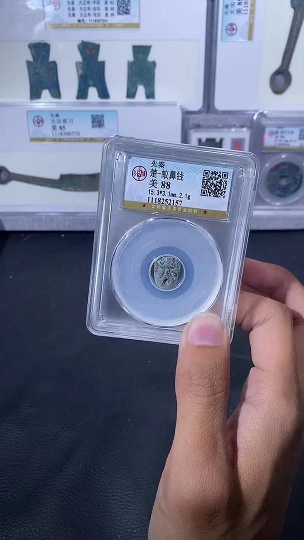【闪购商品】金琪珍蚁鼻钱一枚