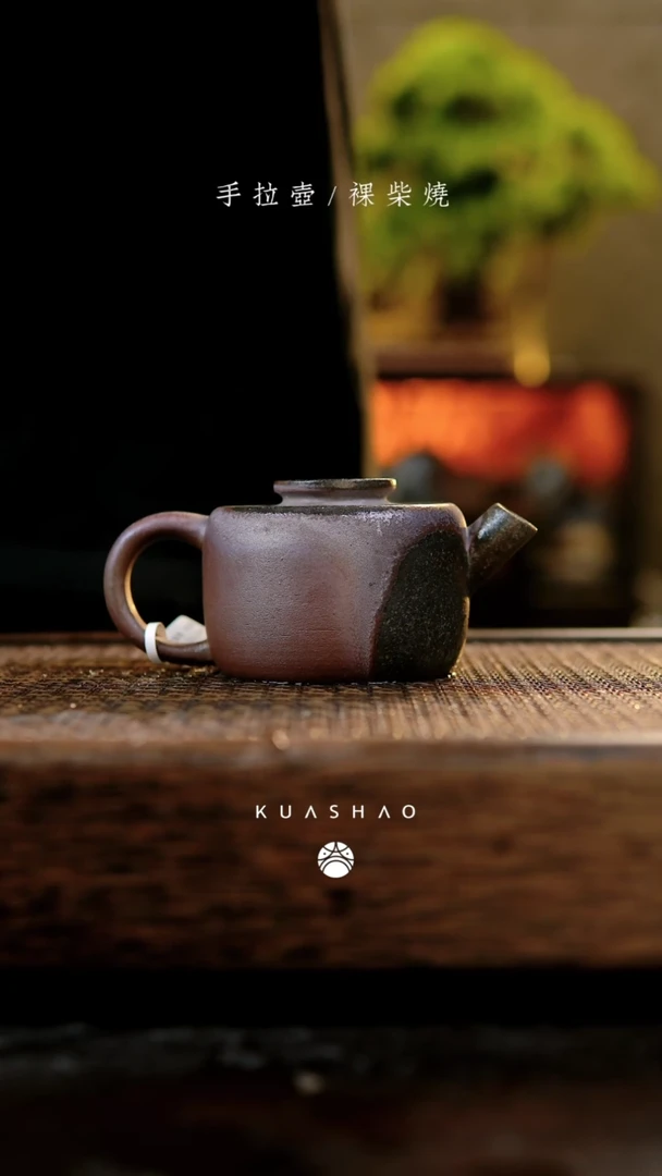 【闪购商品】墨轮壶632.........