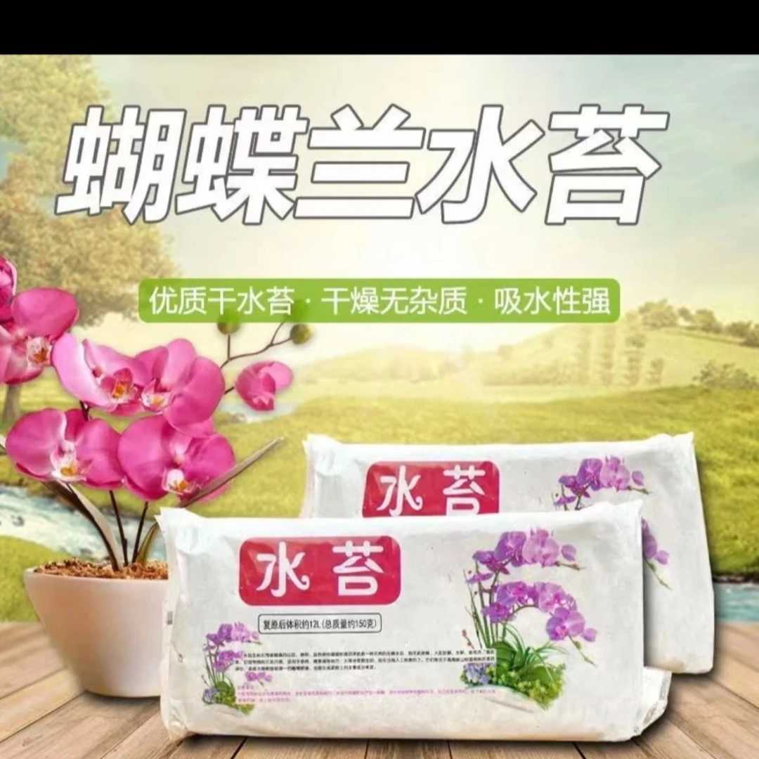 《蝴蝶兰专用水苔》，透气耐腐蚀，基地专用