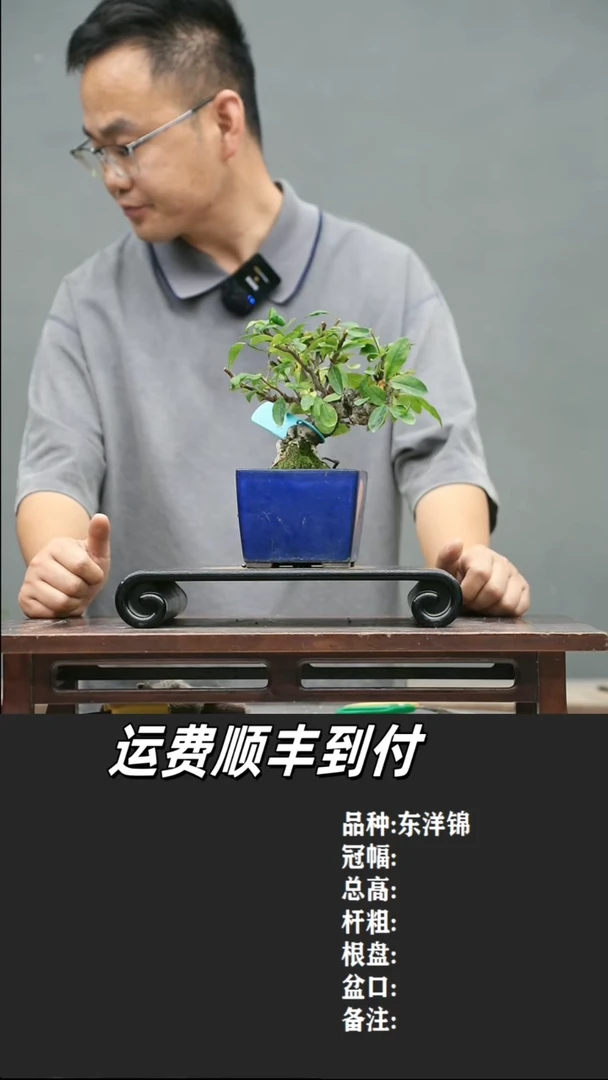 Z****?13 东洋锦