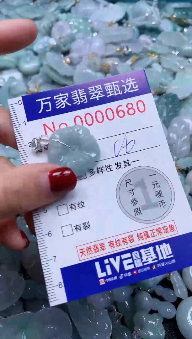 颈饰未镶嵌翡翠680