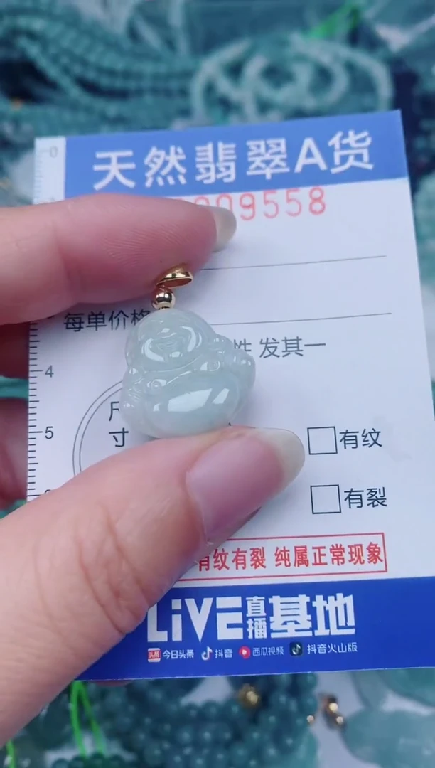 颈饰未镶嵌翡翠00009558