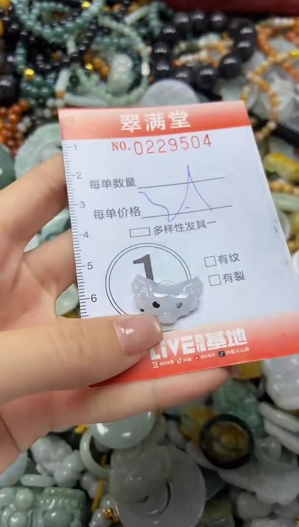 颈饰未镶嵌翡翠闪购0229504