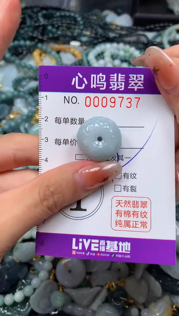 翡翠未镶嵌颈饰闪购009737