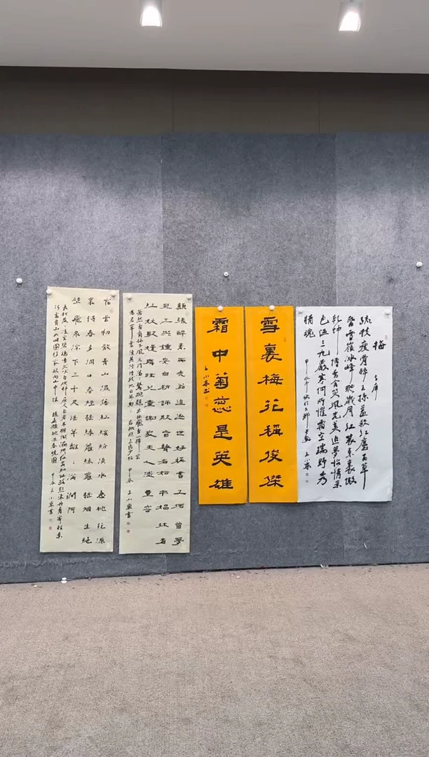 【闪购商品】书法pmw不二轩旗舰店书法WXD10