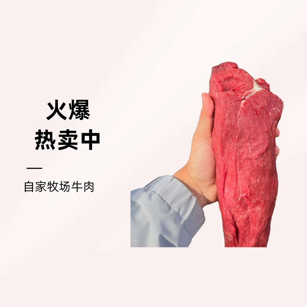 尚清源臻选黄牛里脊肉（煎炒/滑汤）2.5kg