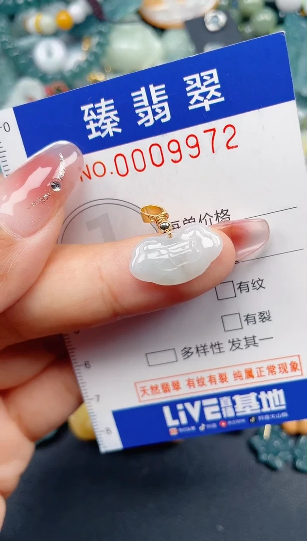 颈饰未镶嵌翡翠.0009972