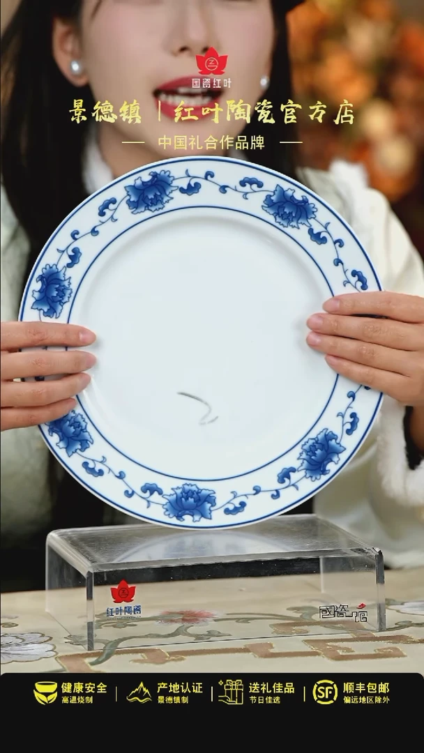 【闪购商品】1个微瑕满汉全席10英寸平盘