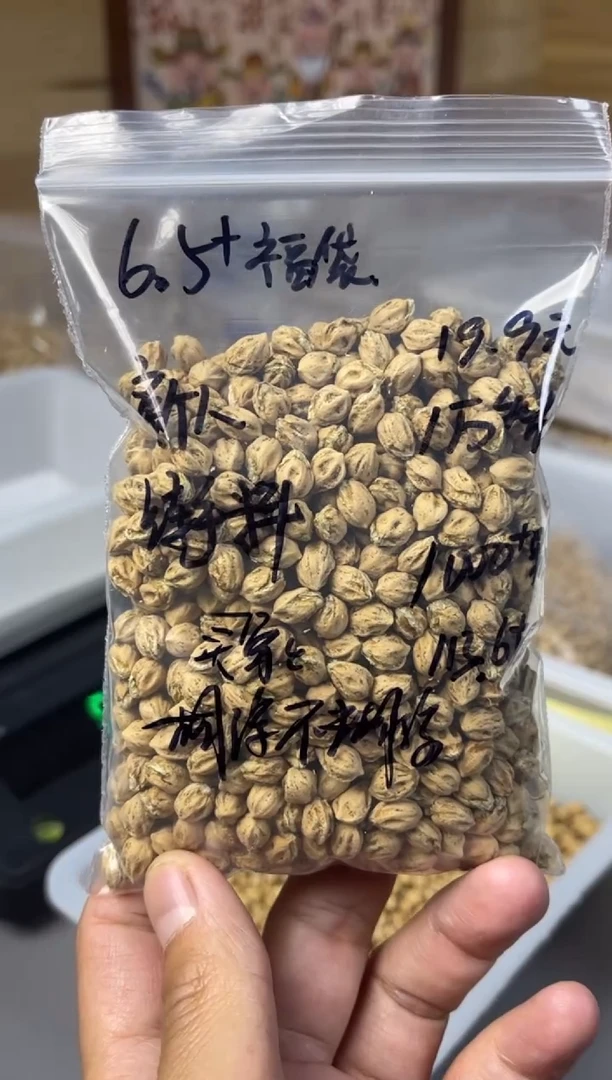 【闪购商品】柏香籽/百香籽手串合上柏香热振散籽胡涂涂不糊涂