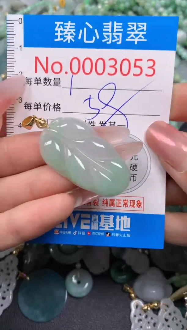 【闪购商品】翡翠颈饰未镶嵌含绳0003053