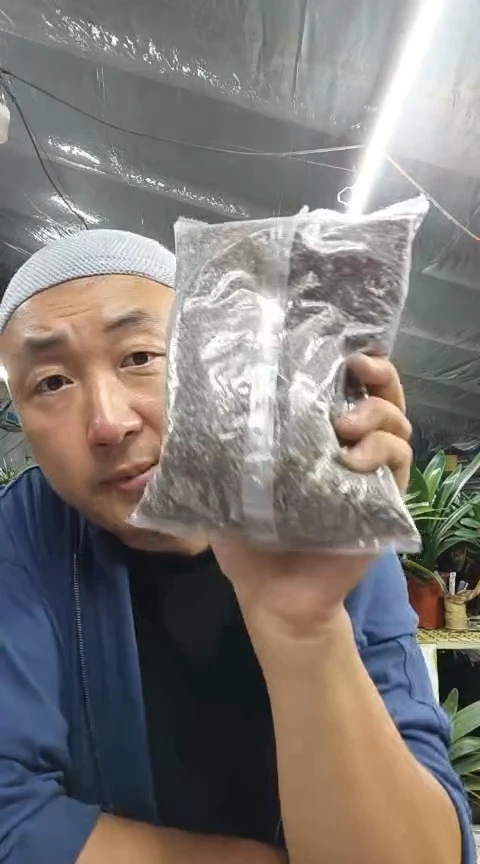 君子兰油性植料