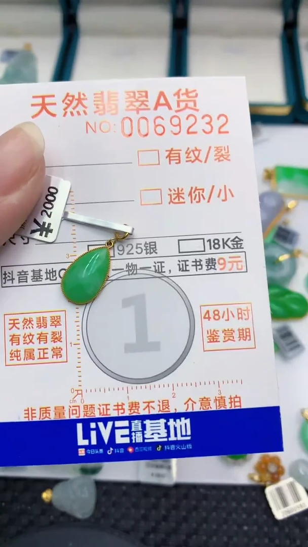 【闪购商品】翡翠颈饰18K金镶嵌            8