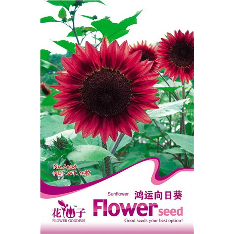 花儿朵朵花仙子园艺鸿运向日葵盆栽易种易活阳台庭院亲子学生花籽