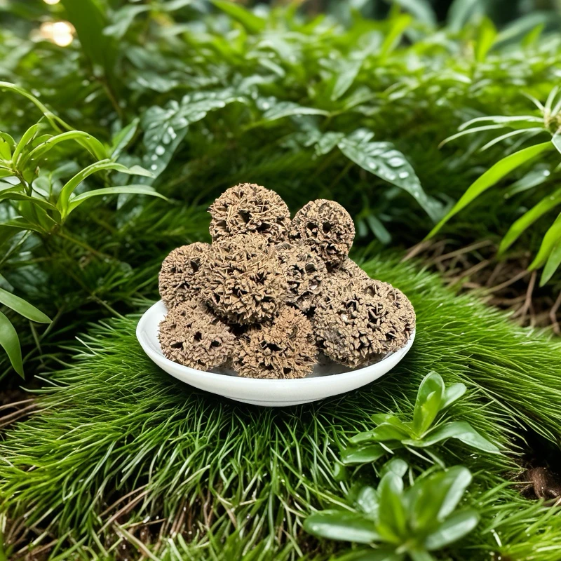 【千寻】路路T果-土特产山果农产品干货