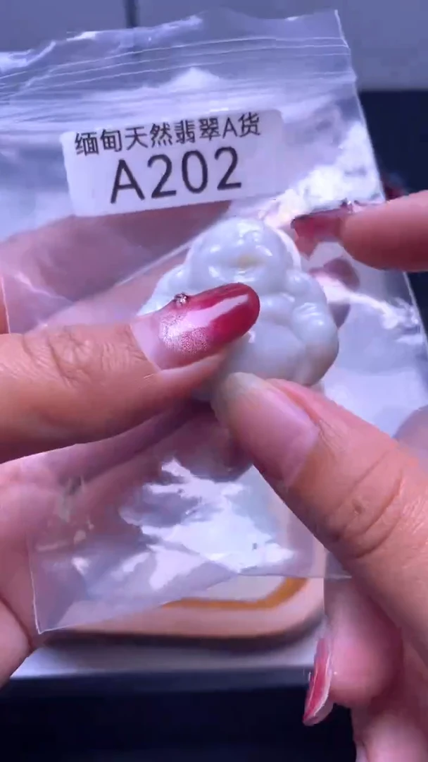 颈饰未镶嵌翡翠A202