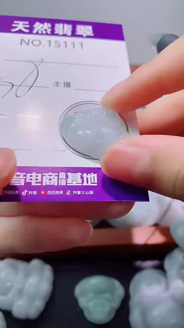 翡翠未镶嵌吊坠(赠链)111