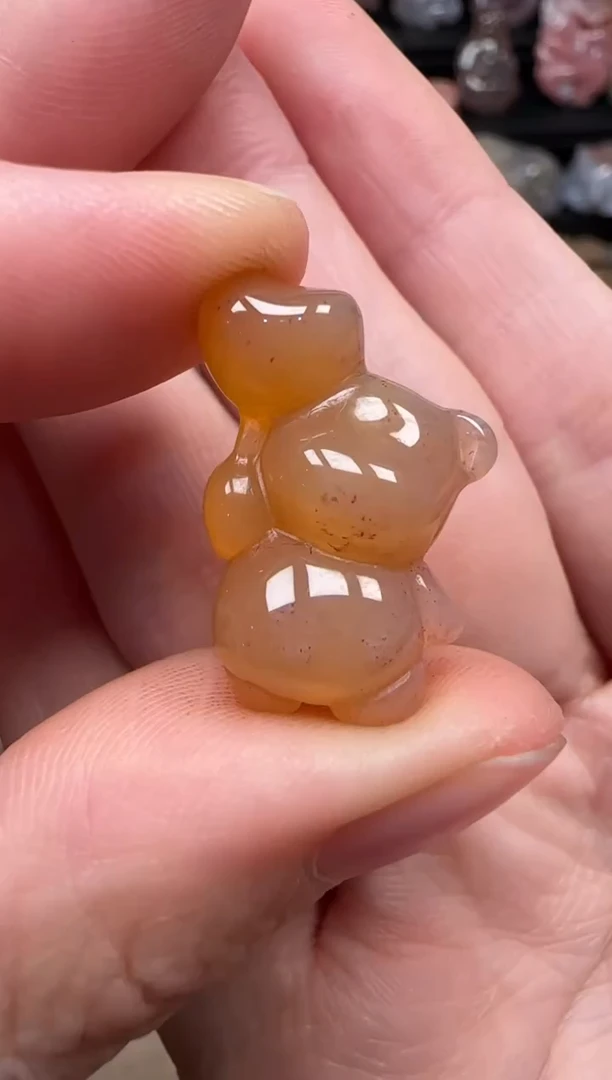 颈饰未镶嵌硅化珊瑚（珊瑚玉）244