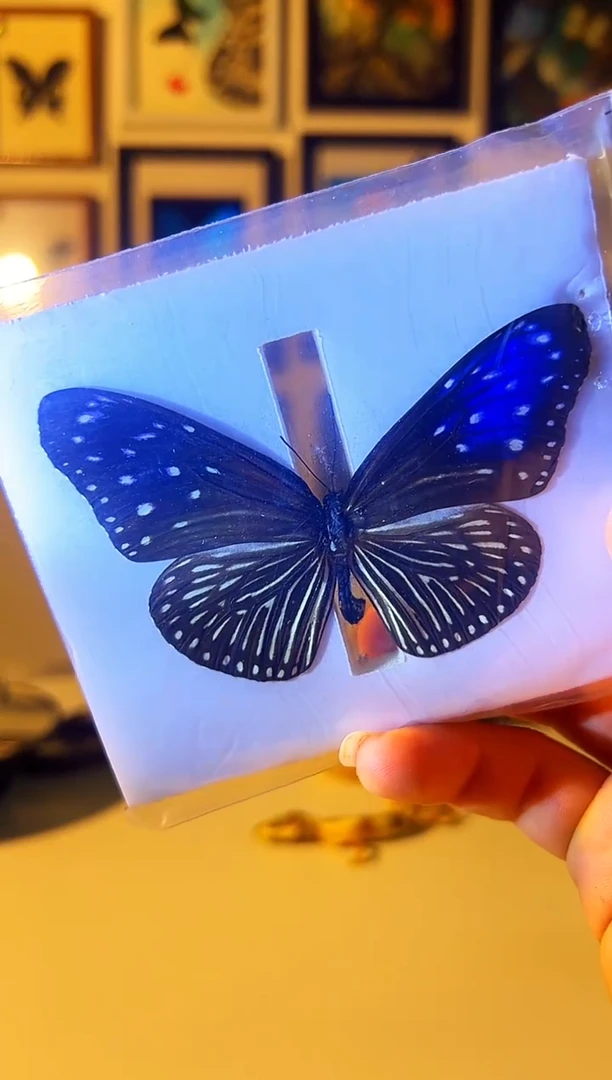 有机玻璃5886767687